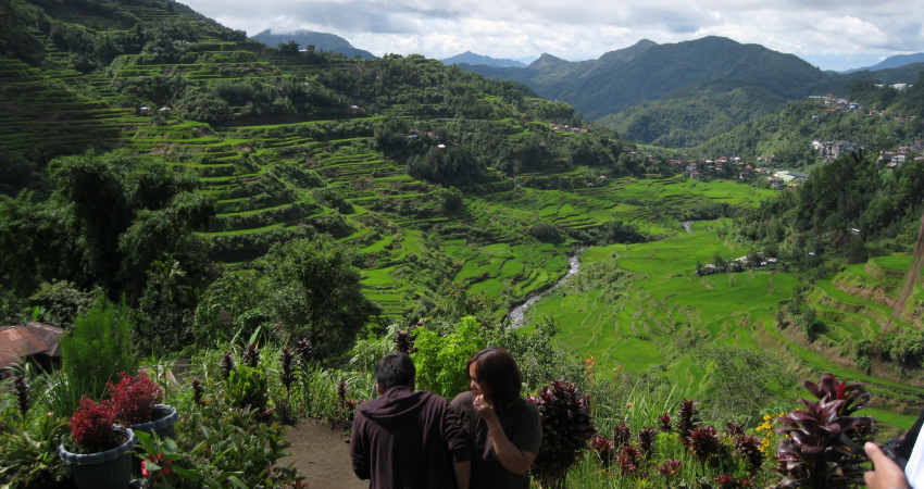 Banaue Rice Terraces Tour Package (3D/2N)