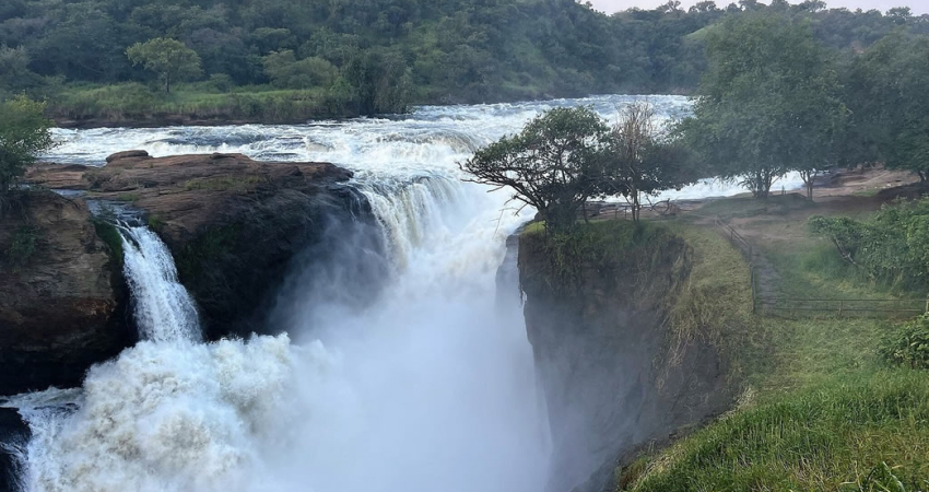 4-DAY MESMERIZING MURCHISON FALLS SAFARI