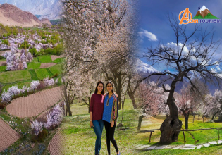 Hunza Cherry Blossom Tour, Gilgit Baltistan