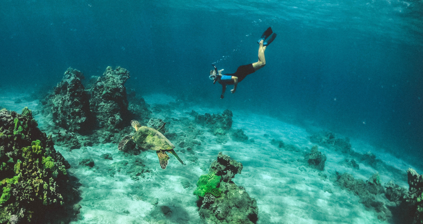 Snorkeling at Mnemba Coral Gardens