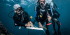 Divemaster and Research Diver Internships in Indonesia