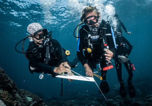 Divemaster and Research Diver Internships in Indonesia