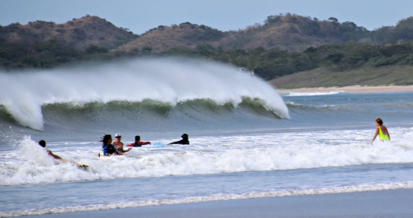 Internship with Iguana Surf in the beautiful Tamarindo / Costa Rica