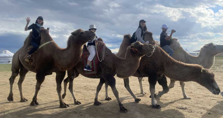 Tours near Ulaanbaatar