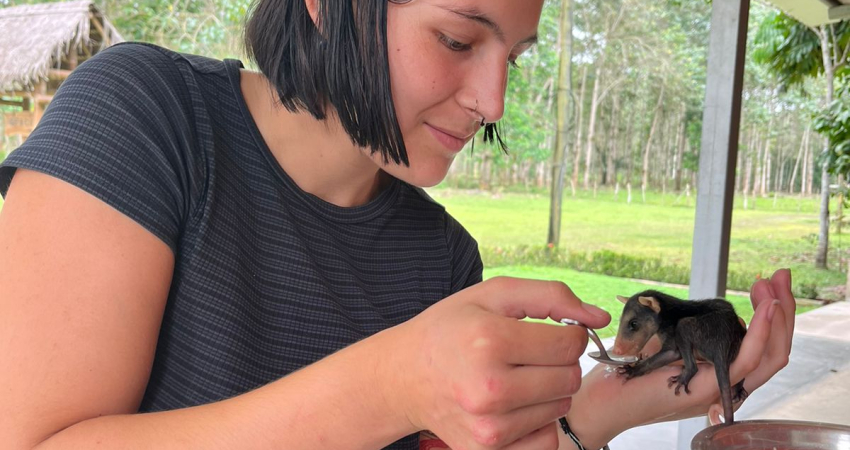 Wild Animal Rehabilitation in Ecuador