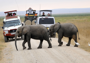 3 Days Amboseli Elephants Safari