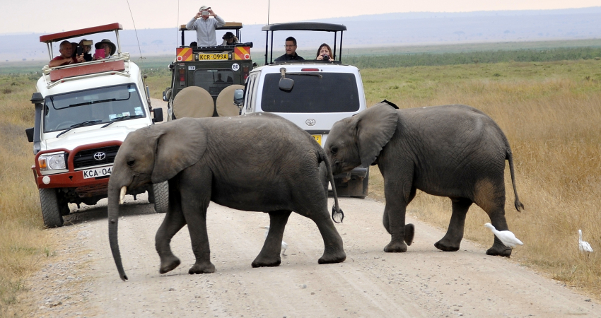 3 Days Amboseli Elephants Safari