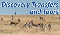 discovery transfers & tours